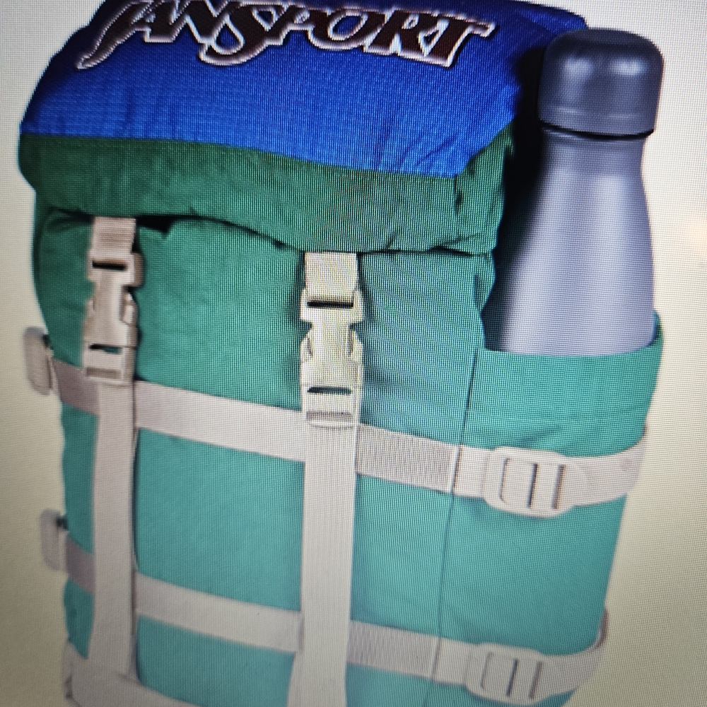 Jansport Mini Skip Pack Backpack 11x7.8x4.7 NWT - Picture 2 of 4